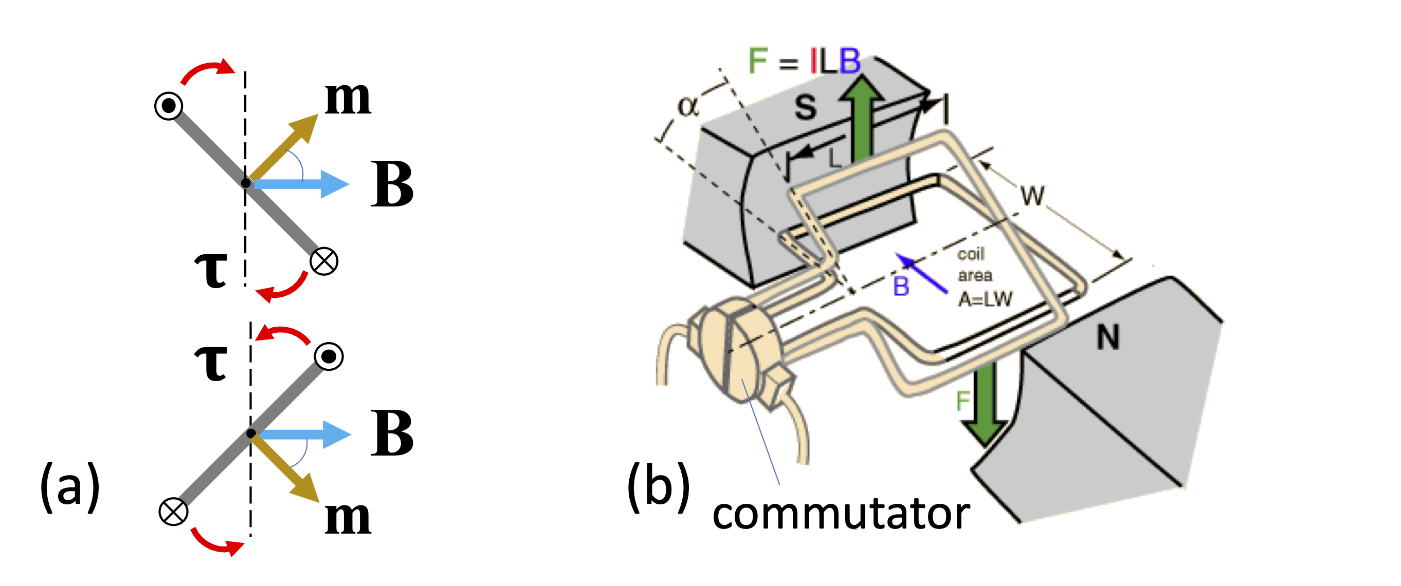 _images/Dipole-torque-2.png