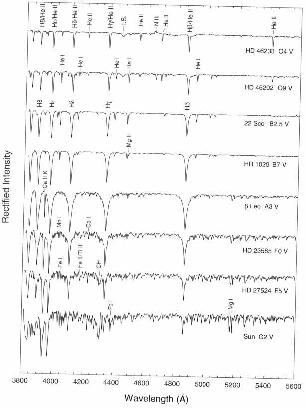 _images/MK_main_sequence.png