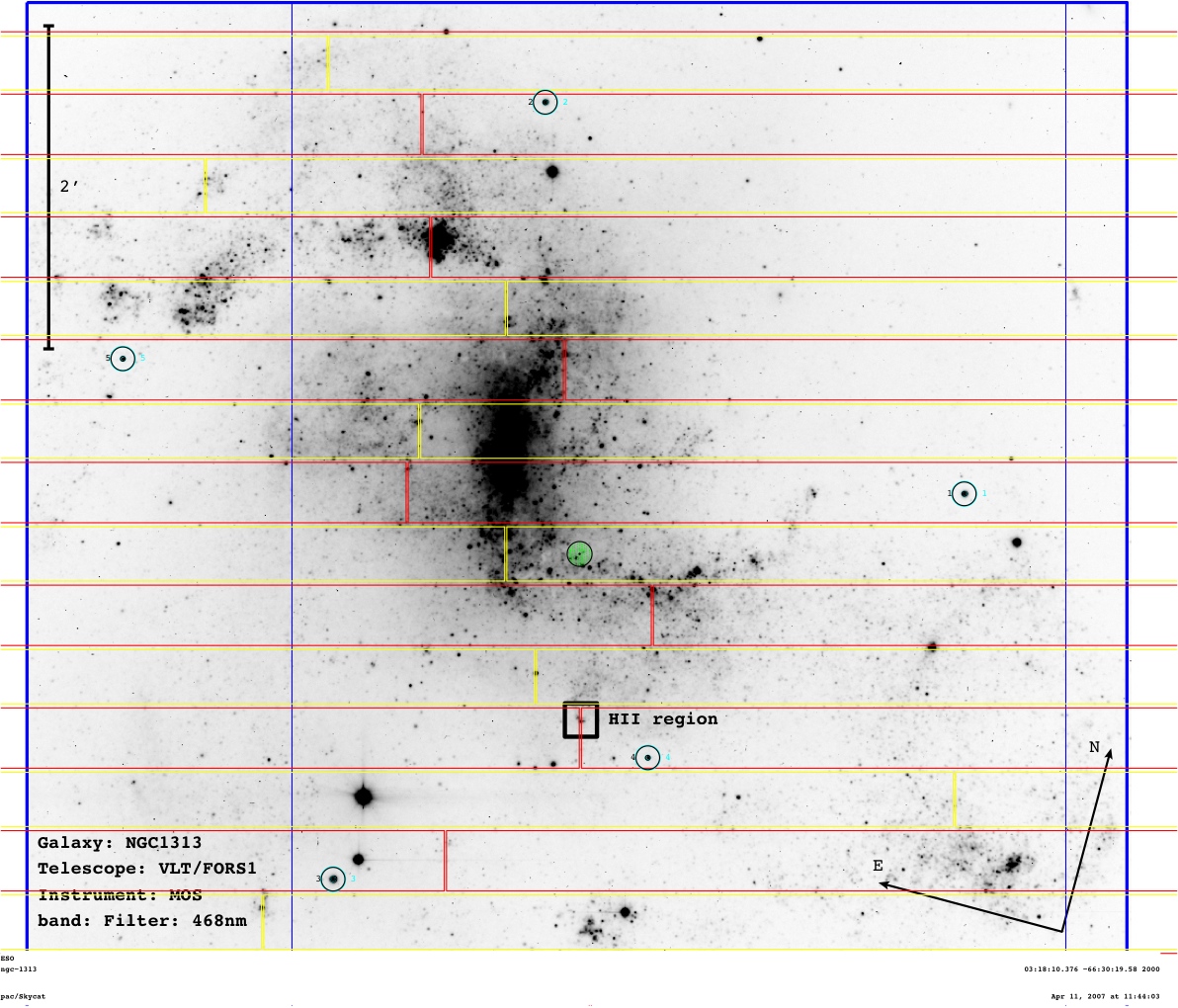 _images/NGC1313.jpg