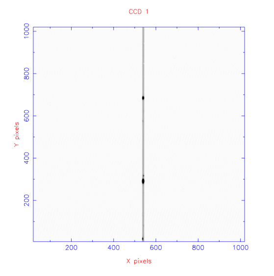 _images/small_4491.png